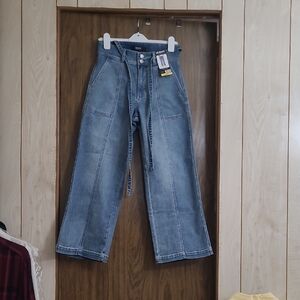 Hudson Jeans Light Blue Denim with Silver Buttons